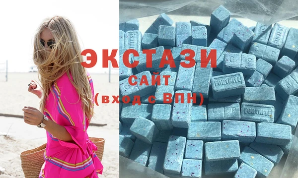 хмурый Аркадак