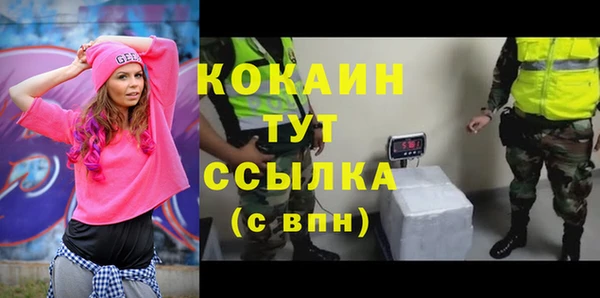 хмурый Аркадак