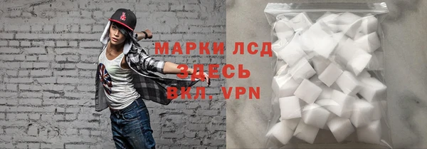 хмурый Аркадак