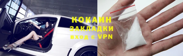 хмурый Аркадак