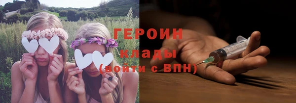 хмурый Аркадак