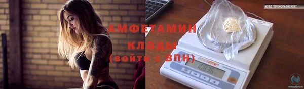 хмурый Аркадак