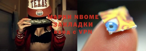 хмурый Аркадак