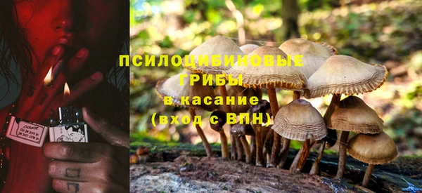 первитин Армянск
