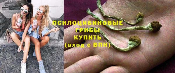 ALPHA PVP Арсеньев