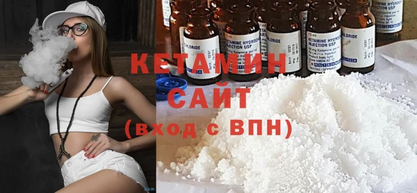 хмурый Аркадак