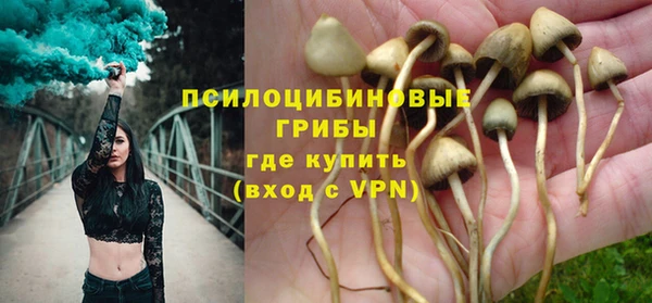 хмурый Аркадак