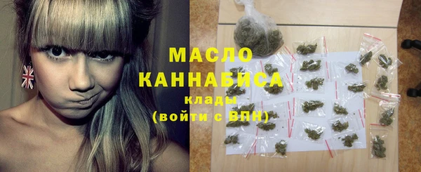 хмурый Аркадак