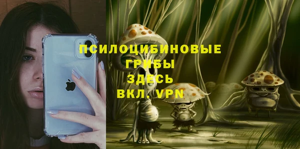 первитин Армянск