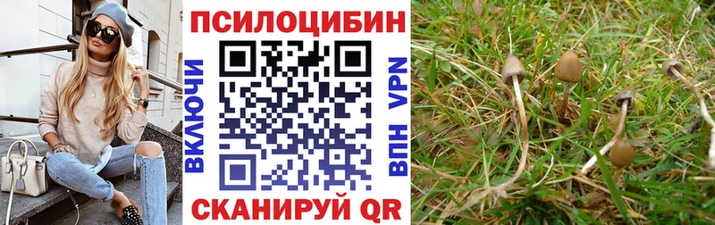 Псилоцибиновые грибы мухоморы  наркошоп  Могоча 